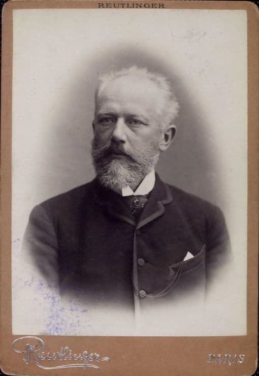 Tchaikovsky the descendant of Chaika